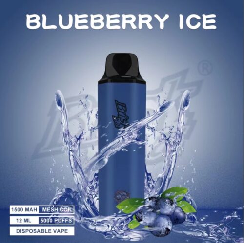 BRISK BAR BLUEBERRY ICE – 5000 PUFFS BRISK BAR BLUEBERRY ICE – 5000 PUFFS