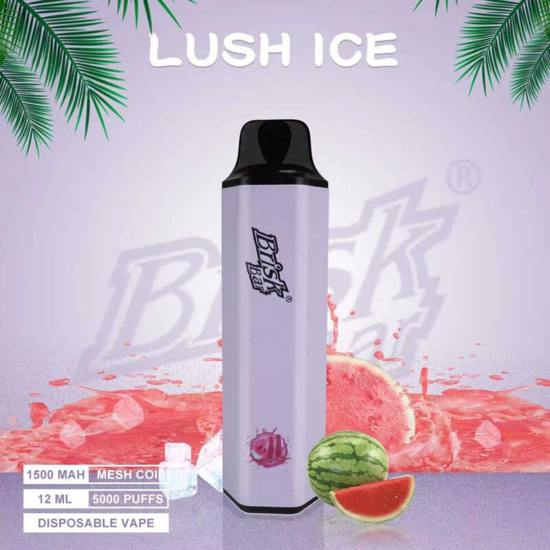 BRISK BAR LUSH ICE - 5000 PUFFS