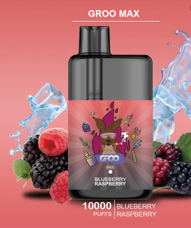 GROO MAX - BLACKBERRY RASPBERRY - 10000 PUFFS