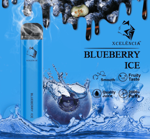 GUNNPOD BLUEBERRY ICE – 2000 PUFFS