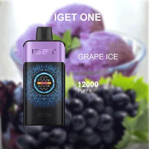 IGET ONE - GRAPE ICE - 12000 PUFFS