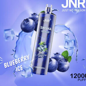 JNR SHISHA HOOKAH - BLUEBERRY ICE - 12000 PUFFS