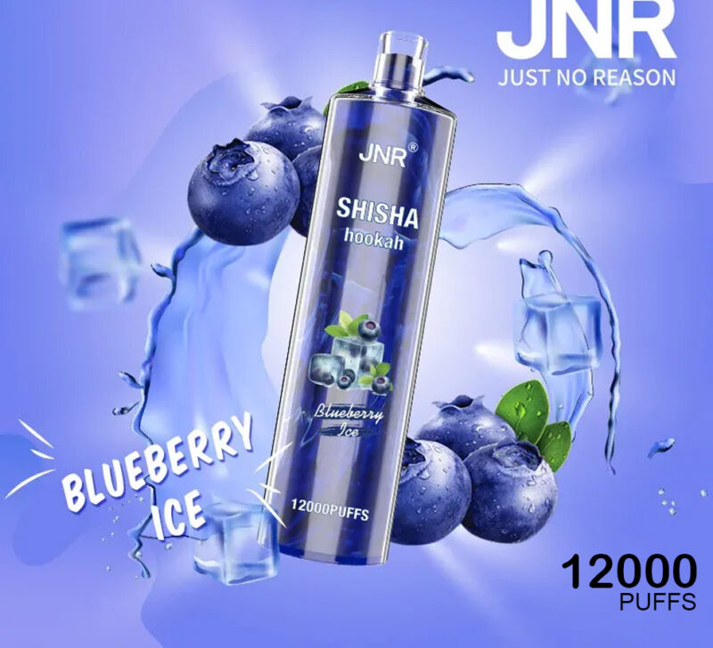 JNR SHISHA HOOKAH - BLUEBERRY ICE - 12000 PUFFS