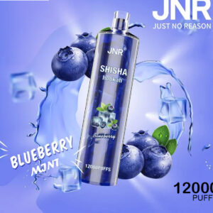 JNR SHISHA HOOKAH - BLUEBERRY MINT - 12000 PUFFS JNR SHISHA HOOKAH - BLUEBERRY MINT - 12000 PUFFS