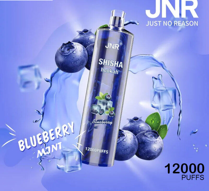 JNR SHISHA HOOKAH - BLUEBERRY MINT - 12000 PUFFS JNR SHISHA HOOKAH - BLUEBERRY MINT - 12000 PUFFS