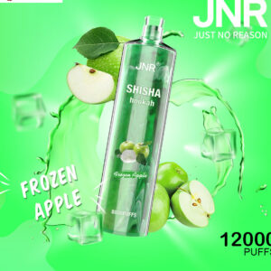 JNR SHISHA HOOKAH - FROZEN APPLE - 12000 PUFFS