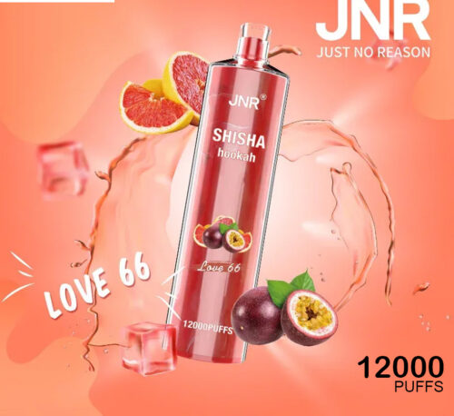 JNR SHISHA HOOKAH - LOVE 66 - 12000 PUFFS JNR SHISHA HOOKAH - LOVE 66 - 12000 PUFFS
