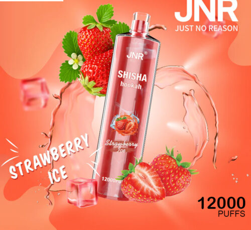 JNR SHISHA HOOKAH WATERMELON ICE - 12000 PUFFS JNR SHISHA HOOKAH WATERMELON ICE - 12000 PUFFS