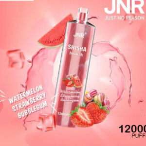 JNR SHISHA HOOKAH -WATERMELON STRAWBERRY BUBBLEGUM- 12000 PUFFS