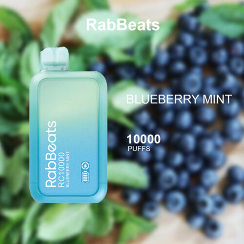 RABBEATS BAR BLUEBERRY MINT - 10000 PUFFS RABBEATS BAR BLUEBERRY MINT - 10000 PUFFS