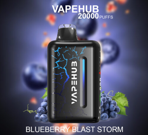 VAPEHUB BLUEBERRY BLAST STORM - 20000 PUFFS