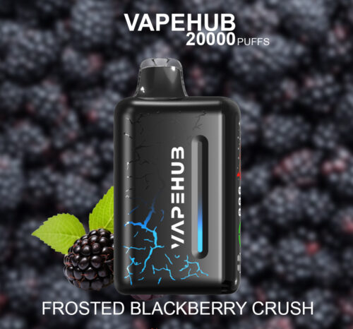 VAPEHUB FROSTED BLACKBERRY CRUSH - 20000 PUFFS