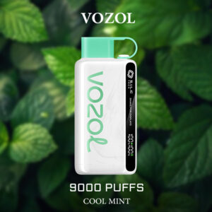 VOZOL COOL MINT - 9000 PUFFS | IGET Australia