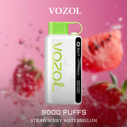 VOZOL STRAWBERRY WATERMELON - 9000 PUFFS | IGET Australia