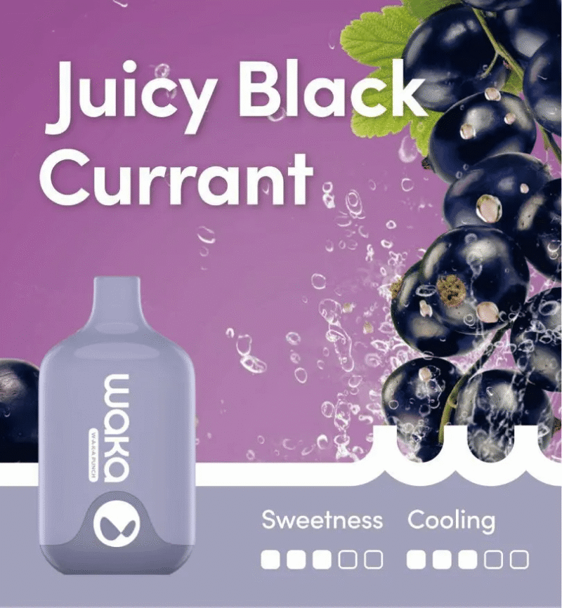 WAKA SMASH JUICY BLACK CURRANT - 6000 PUFFS