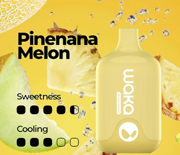 WAKA SMASH PINEANA MELON - 6000 PUFFS